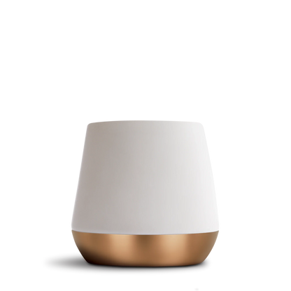 Joey Double Wall Ceramic Mugs - Joey Double Wall Ceramic Mugs - Matte White / Big Jo 12 oz | Fellow